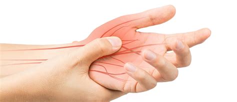Tendons, or sinews, connect muscle to bone. What is a Flexor Tendon Injury?