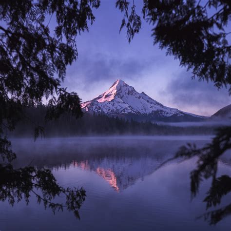 Lost Lake View Of Mount Hood Framed By Nature Explorest