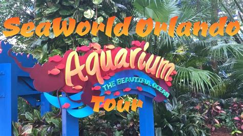 Seaworld Orlando Aquariums Youtube
