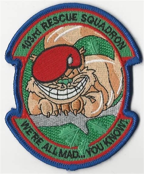 Us Air Force Patch 103rd Rescue Squadron Were All Mad You Know