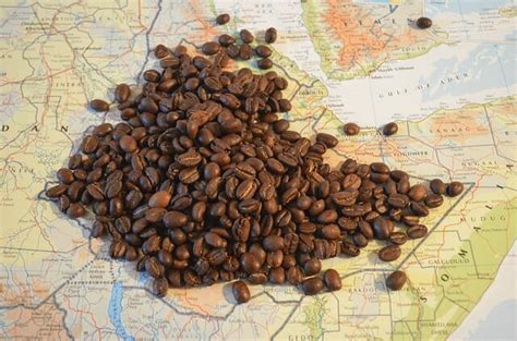 He noticed his goats eating coffee cherries and tried them for himself. 6 Best Ethiopian Coffee Beans - Try New Coffee