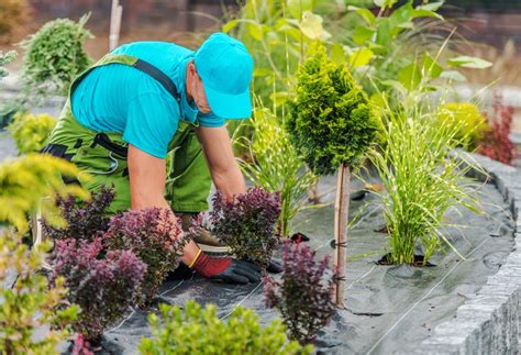 The Average Landscaper Salary State By State
