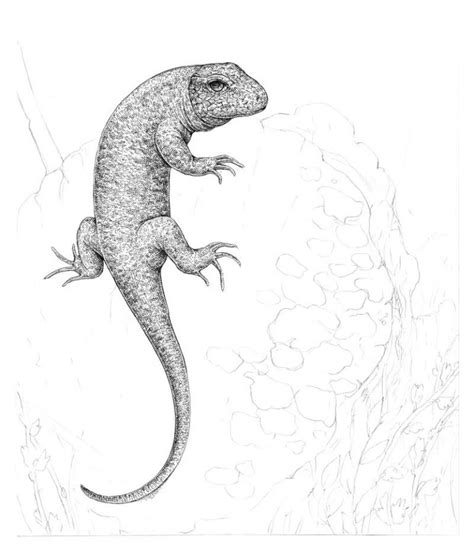 How To Draw A Lizard With Pen And Ink