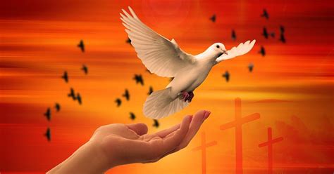 Gebete für den Frieden - Seelsorgeraum Am See - Stadtpfarre Neusiedl am