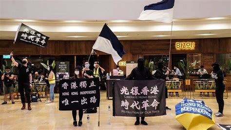Hong Kong Protesters Are Waving A New Flag Heres What To Know And Why