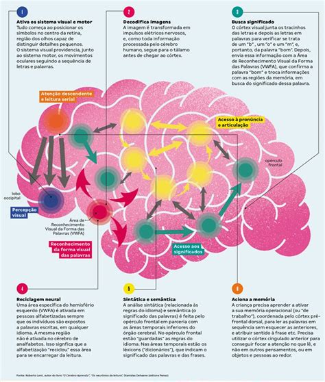Como A Neurociência Pode Ajudar A Educação Neurociência