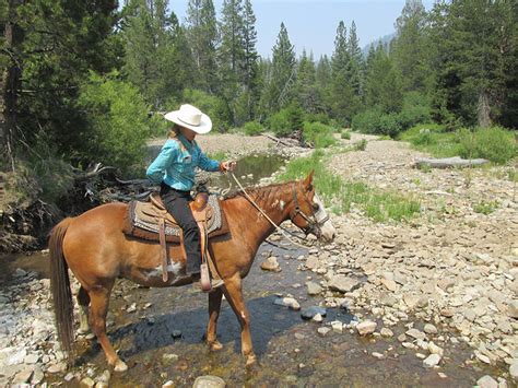 Horse Back Riding Lake Tahoe Best Horseback Riding Lake Tahoe Nevada