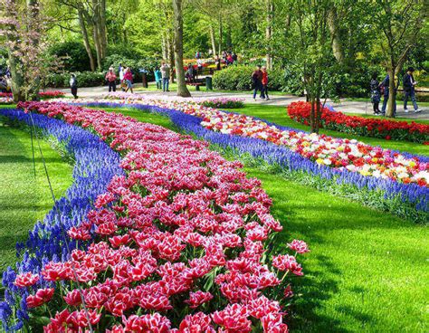With your very own private. Keukenhof and 100 Highlights Canal Cruise - Tickets Holland