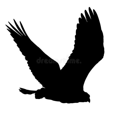 Flying Falcon Silhouette Stock Vector Illustration Of Background