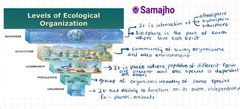 Environment Revision Snippets Compilation Upsc Ias Samajho Learning
