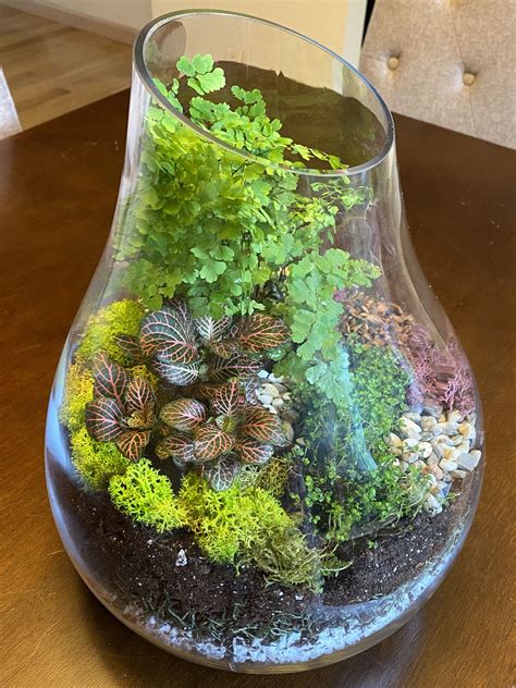 Wet Terrarium Inside Plants Decor Inside Plants Plant Decor