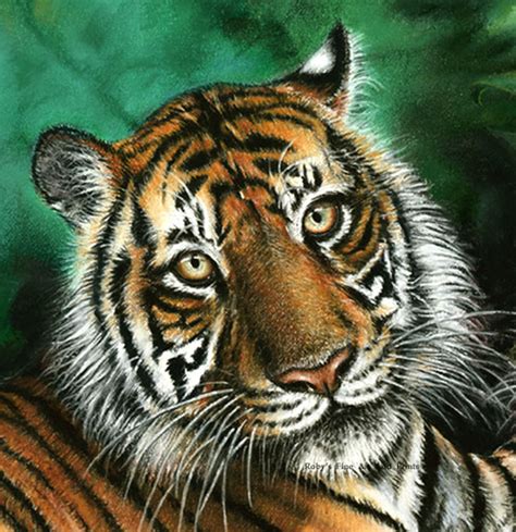 Pastel Sumatran Tiger And Cub Painting By Roby Baer