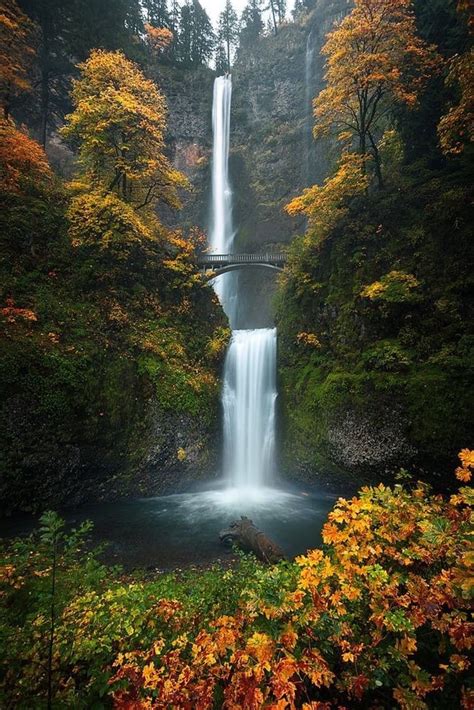 Beautiful Fall Autumn Colors On Display At The Iconic Multnomah Falls