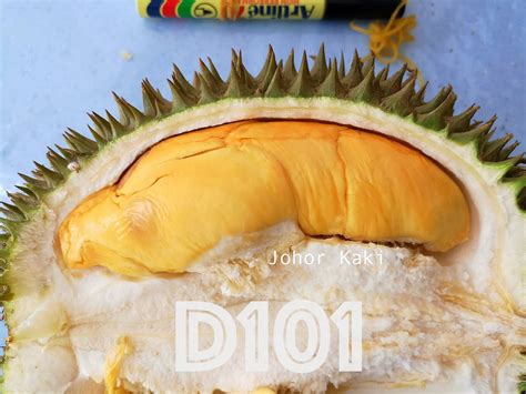 D101 Durian From Johor Humble But Delicious Mao Shan Wang Alternative
