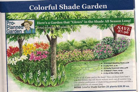 Shade Garden Design Zone 7 Snewfa