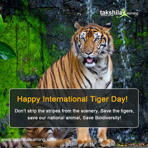 A Tiger Standing In Front Of A Waterfall With The Caption Happy
