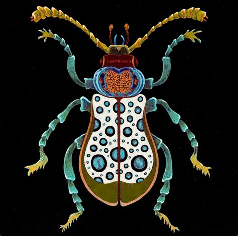 Insect Paintings Bob Coonts Fine Art Insect Art Insect Painting