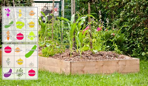 Planifier Un Potager En Carr Est Essentiel Pour Ne Plus Rater La Saison De Jardinage Et