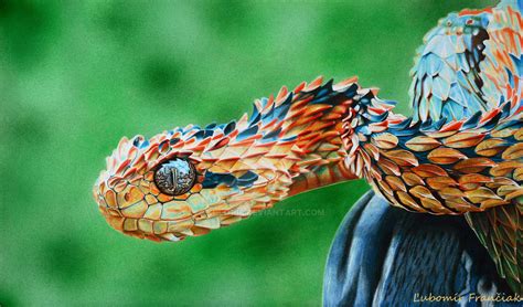 Maybe you would like to learn more about one of these? drawing hyperrealist color snake Franciak by kulo108 on ...