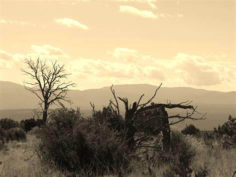 fotos gratis paisaje árbol naturaleza césped horizonte desierto montaña nube cielo