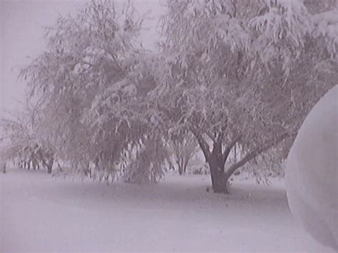 Yucca Valley Ca Yucca Valley Snownovember 21st 2004 Photo Picture