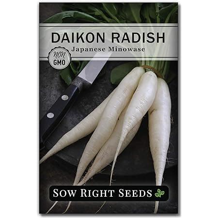 Amazon Com Daikon Radish Seeds For Planting Ounce Microgreens