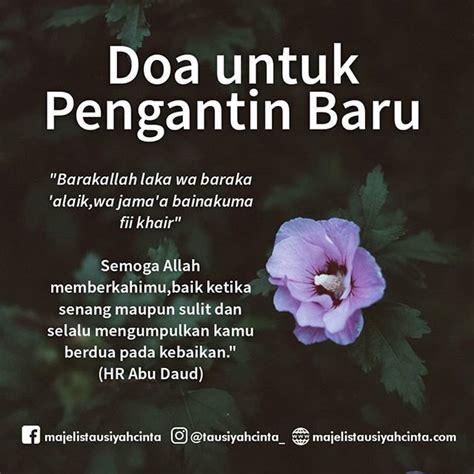 Malam ini merupakan malam pertama d & l sebagai suami istri. majelistausiyahcinta auf twitter ucapan selamat doa untuk ...