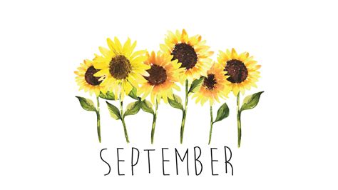 September Flower Wallpapers Top Free September Flower Backgrounds