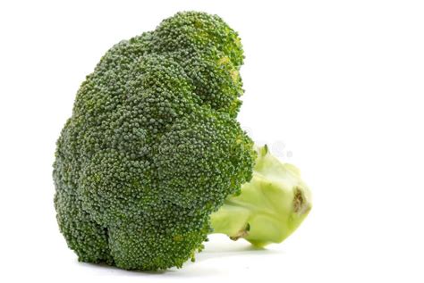 Broccoli Series 04 Stock Photos Free And Royalty Free Stock Photos From