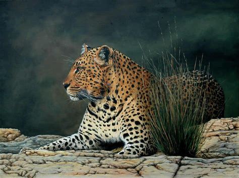 Leopard Painting In Oils By Wildlife Artist Noel Smith Scenic