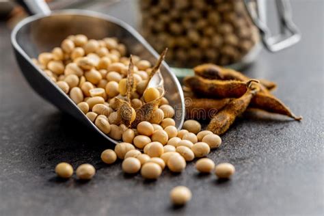 Soy Beans Dried Soybean Pod In Scoop On Black Table Stock Photo
