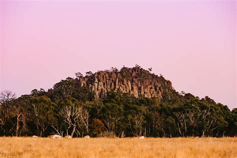 Hanging Rock Craft Market Visit Macedon Ranges