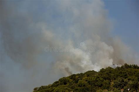 Forest Fire Smoke On The Slopes Hills Fire In Mountain Forest Wild