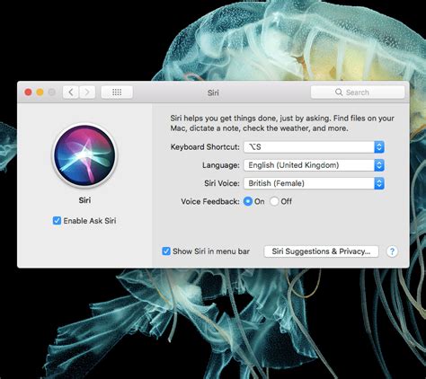 How To Turn Off Siri On IOS MacOS