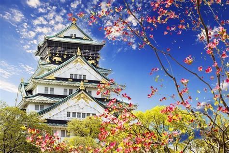 Often dubbed the second city of japan, osaka was historically the commercial capital of japan. Excursión a Osaka desde Kioto - Reserva online en ...