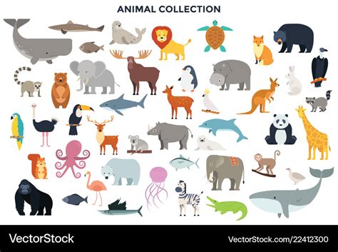 Big Collection Of Wild Animals Royalty Free Vector Image