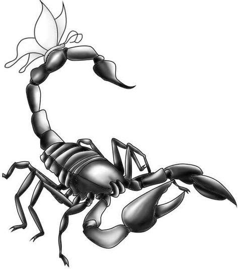 Scorpion Tattoo Designs Ideas Scorpion Tattoo Tattoo Designs Scorpio Tattoo