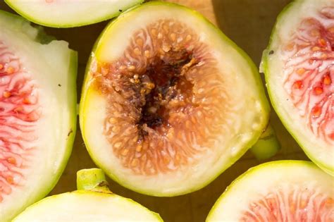 What Is Fig Souring Tips On Managing And Treating Sour Figs