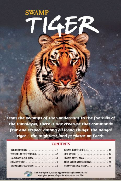 Royal Bengal Tigers Facts About Tigers An Endagered Species