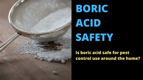 Dust is most commonly used by pest control. Is Boric Acid Safe For Pest Control Use Around The Home ...
