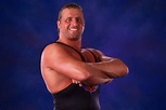 Ranking the Best Moments of Owen Hart's WWE Career