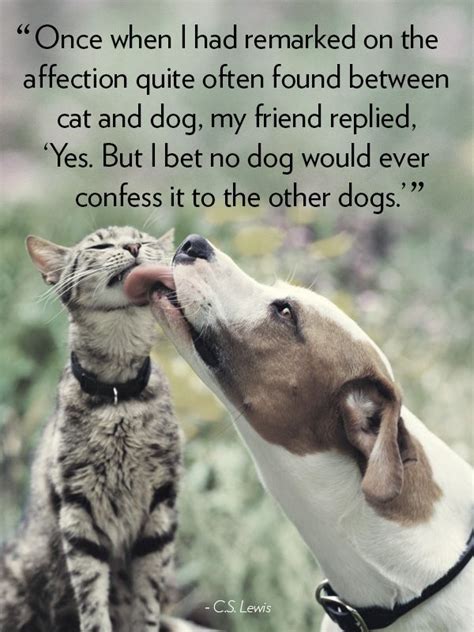 40 Dog Quotes That Will Make Your Heart Melt Cute