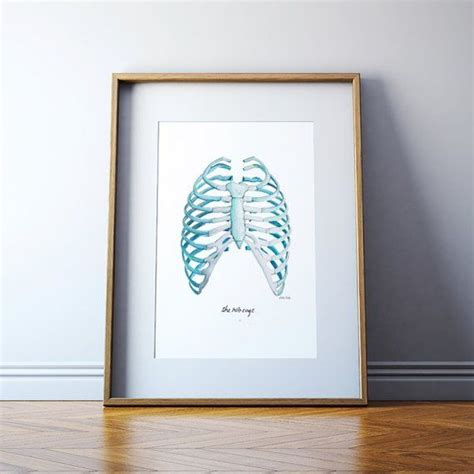 Maybe you would like to learn more about one of these? Rib Cage Watercolor Print - Anatomy Watercolor Art Print ...