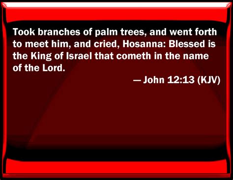 John 1213 Took Branches Of Palm Trees And Went Forth To Meet Him And