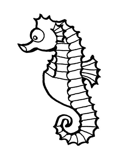 Animal Drawings Seahorse Drawing In Black And White To
