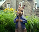 Peter Rabbit, el clásico de los cuentos, llega al cine en 2018 | Cine y ...