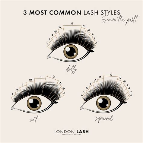 3 lash maps that every lash tech needs to know 🚨🤍 ⁣⁣ in 2021 eyelash extensions eyelashes lashes