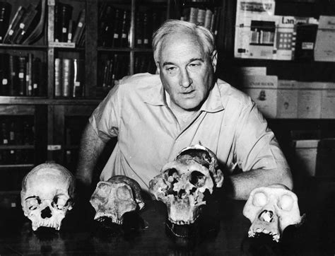 Circa 1955 British Anthropologist Dr Louis S B Leakey 1903 1972