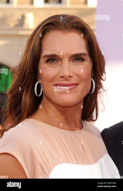 Brooke Shields Attends The Campaign Los Angeles Premiere Held At The