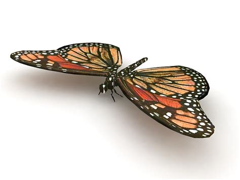 Monarch Butterfly 3d Model 3ds Max Files Free Download Cadnav